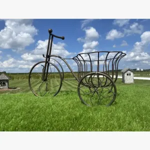 Trike with Big Basket Flower Pot Holder Decorative Trike dried flower branch  