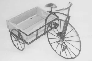 TRIKE W.WOODEN BOXWHEELS WORK dried flower branch  