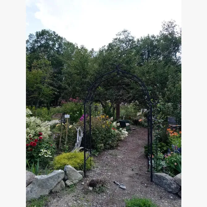 TUBE & X's ARCH
