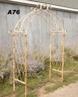 TUBE & X's ARCH dried flower branch  