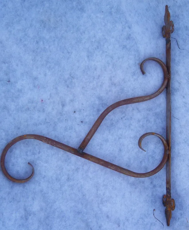 TUBE PLANT HOOK dried flower branch  