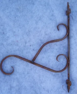 TUBE PLANT HOOK dried flower branch  