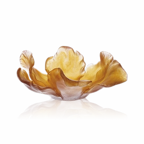 Tulipe - Amber Bowl mini ornamental plant  