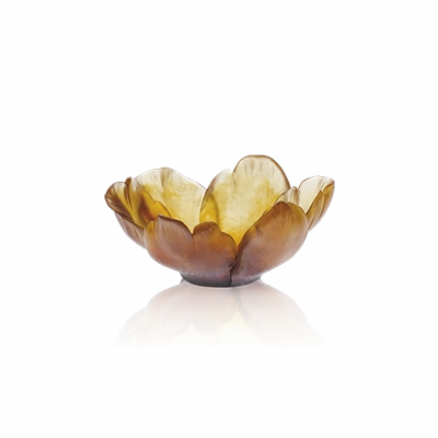 Tulipe - Amber Small Bowl mini ornamental plant  