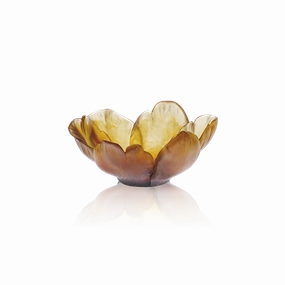 Tulipe - Amber Small Bowl mini ornamental plant  