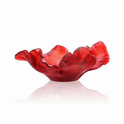 Tulipe - Red Bowl mini ornamental plant  