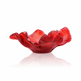 Tulipe - Red Bowl mini ornamental plant  