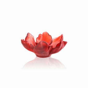 Tulipe - Red Small Bowl mini ornamental plant  