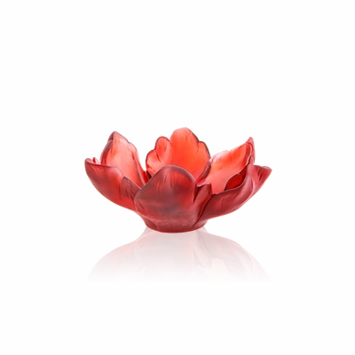 Tulipe - Red Small Bowl mini ornamental plant  