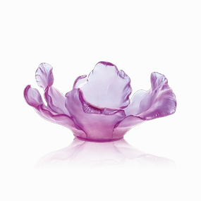 Tulipe - Ultraviolet Bowl mini ornamental plant  