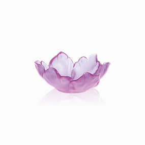 Tulipe - Ultraviolet Small Bowl mini ornamental plant  