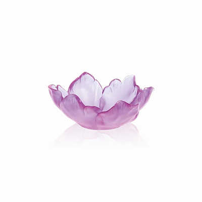 Tulipe - Ultraviolet Small Bowl mini ornamental plant  
