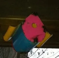 Tunnel Bird House dried flower branch  