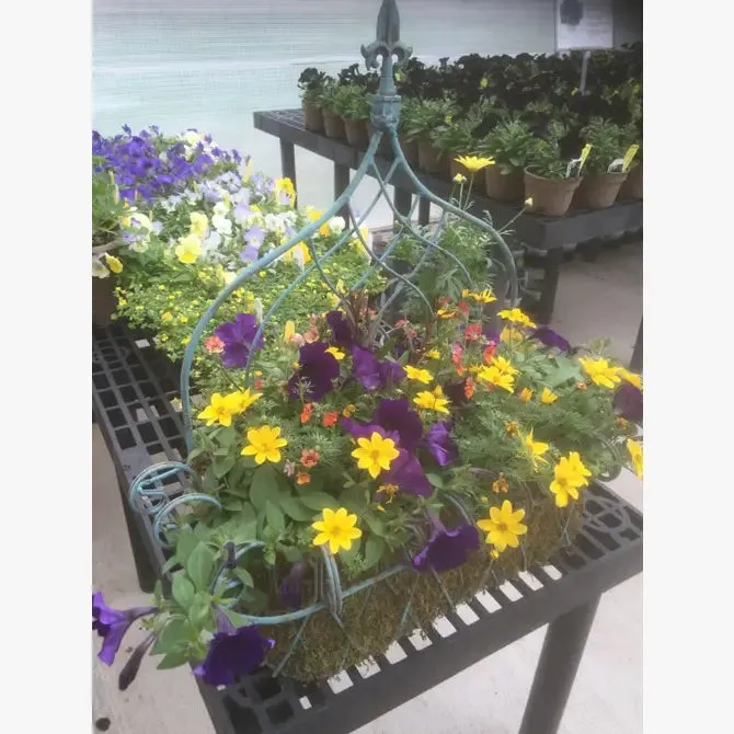 Tuscan Wall Baskets Set of 2