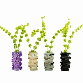 Twist - Colors Crystal Vase mini ornamental plant  