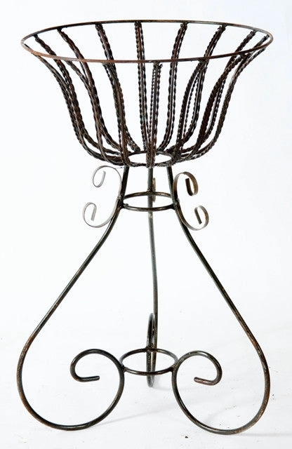 Twisted Wire Planter cactus succulent plant  