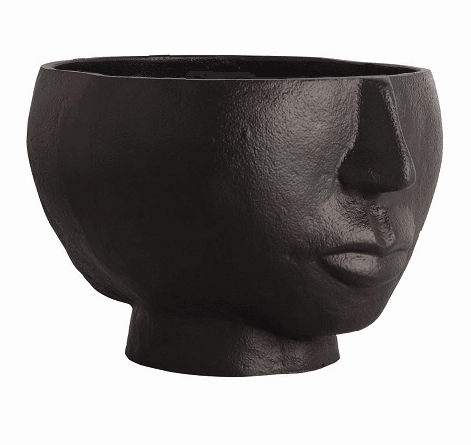 Two Face Vase Black outdoor greenery  