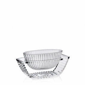 U Shine - Table Centre mini ornamental plant  