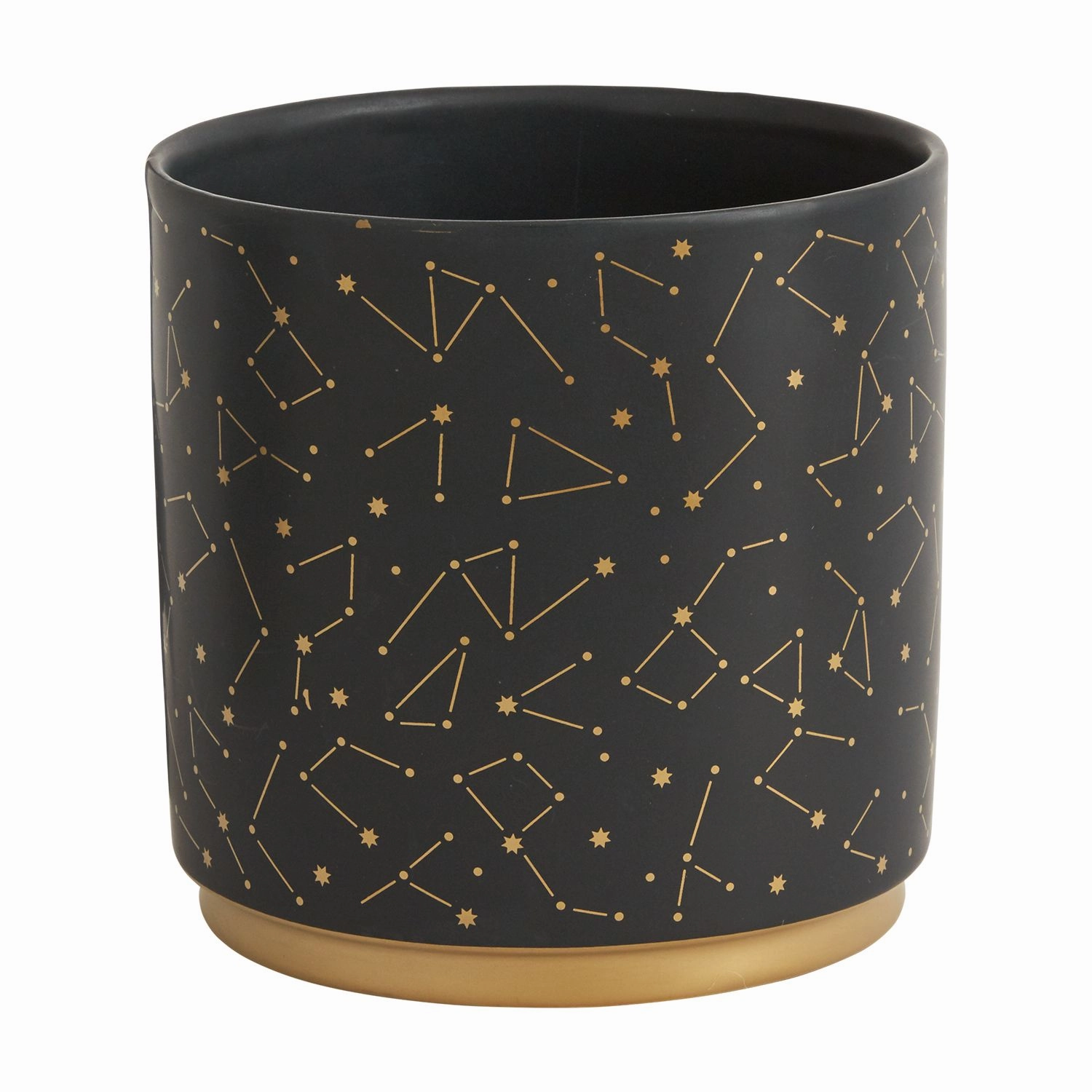 Universe Pot plant seeds  