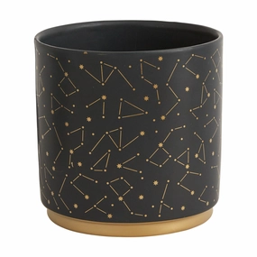 Universe Pot plant seeds  