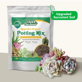 Upgraded Organic Succulent and Cactus Soil mini ornamental plant  