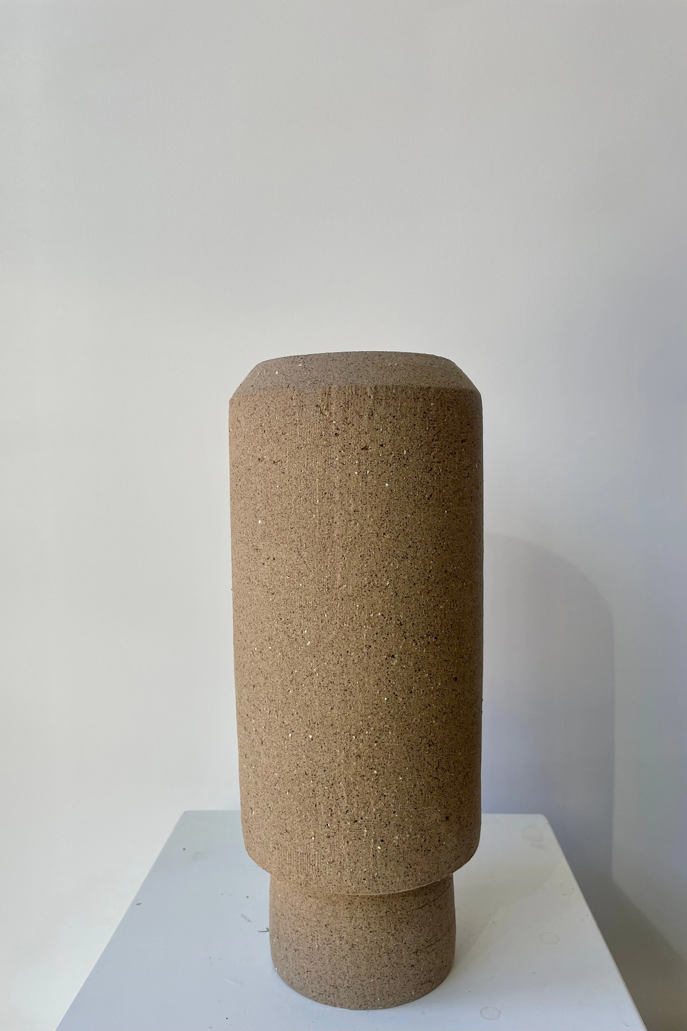 Valdez Vase Natural Clay Large dried green plant  