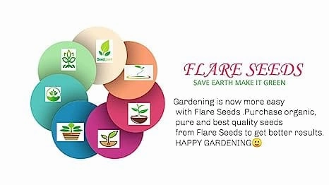 Vegetable & Fruit Seed Combo Pack
