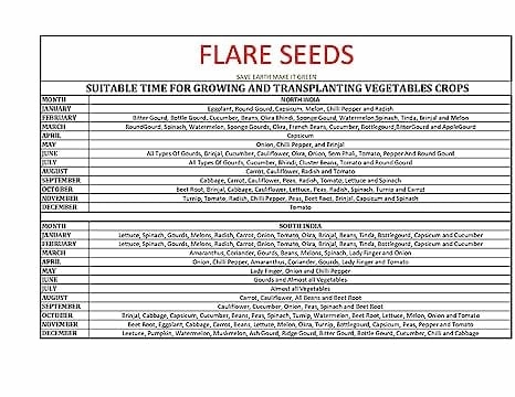 Vegetable & Fruit Seed Combo Pack