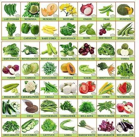 Vegetable & Fruit Seed Combo Pack