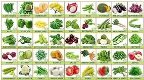 Vegetable Seed Pack small bud vase  