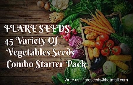 Vegetable Seed Pack