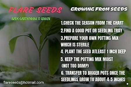 Vegetable Seed Pack