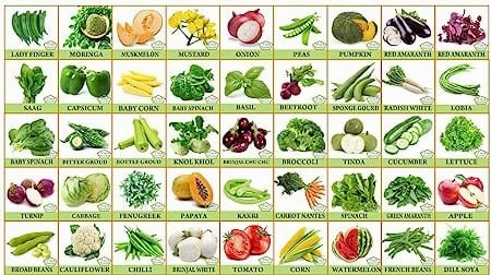 Vegetable Seed Pack small bud vase  