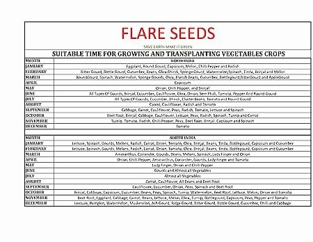 Vegetable Seed Pack