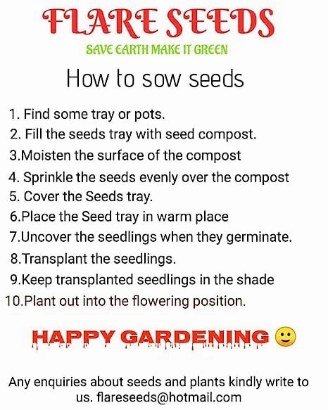 Vegetable Seed Pack