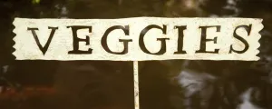 Veggies Sign Garden Display dried flower branch  