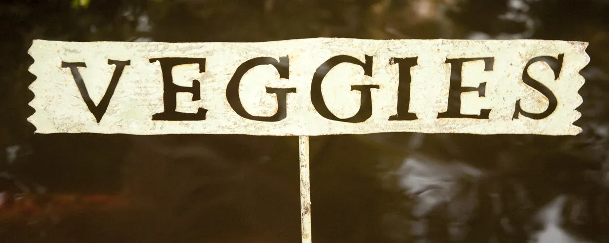 Veggies Sign Garden Display dried flower branch  