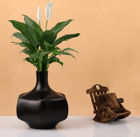 Verdant Metal Black Vase outdoor greenery  
