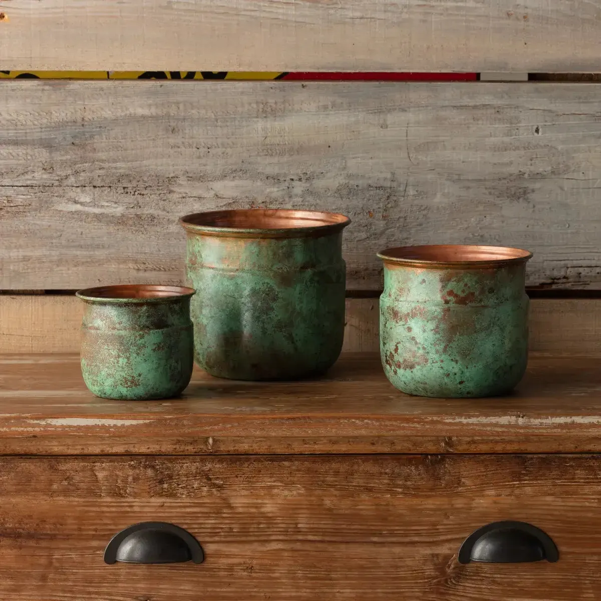 Verde Tulip Planter Set dried flowers  