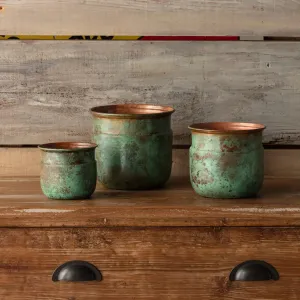 Verde Tulip Planter Set dried flowers  