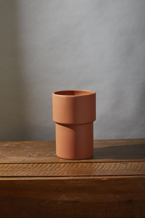 Vermillion Vase dried green plant  