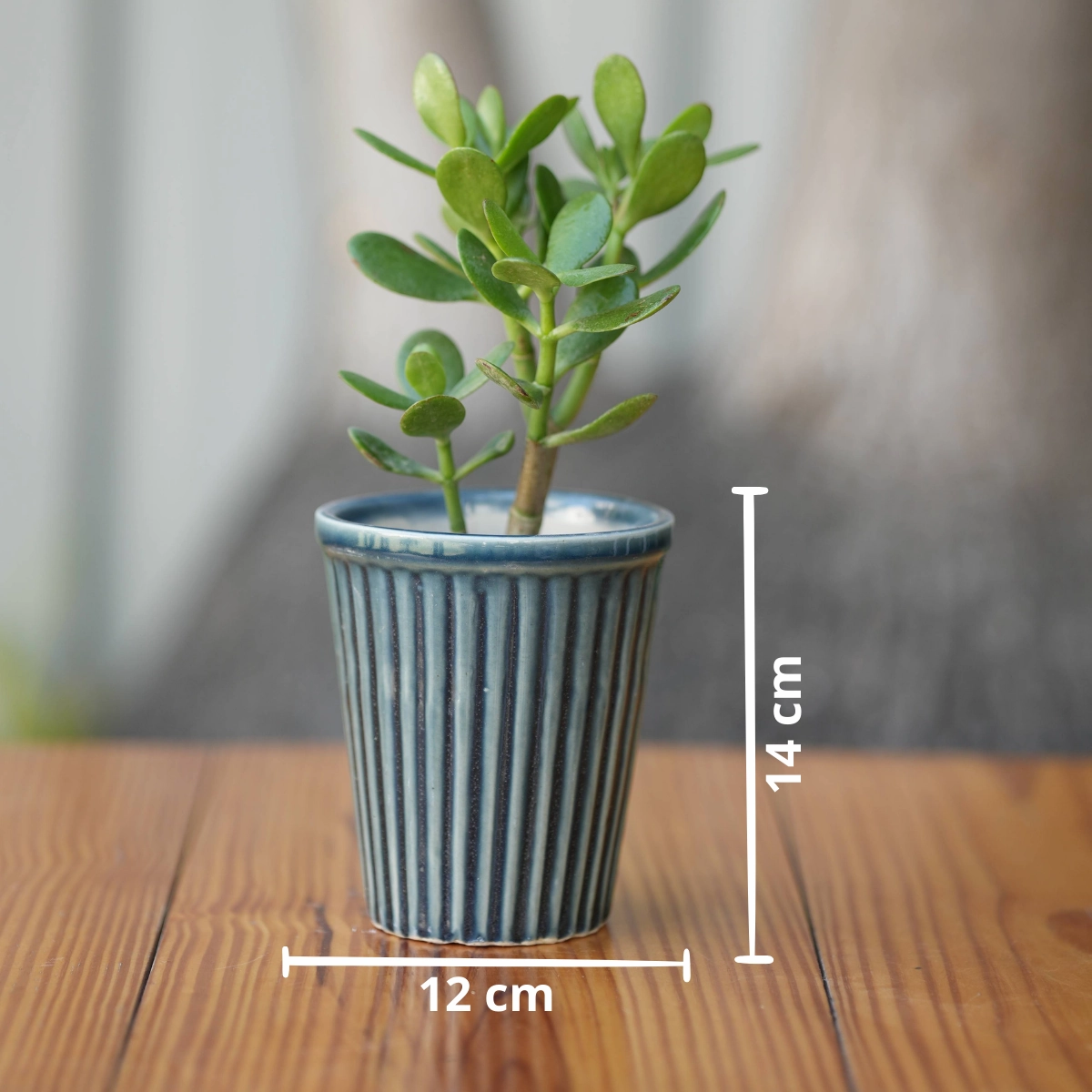Vertical Ribbed Ceramic Planter- Blue