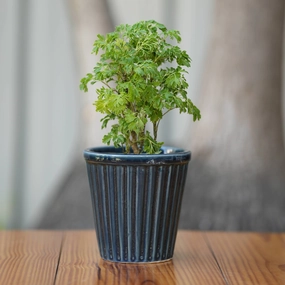Vertical Ribbed Ceramic Planter- Blue classic flowerpot  