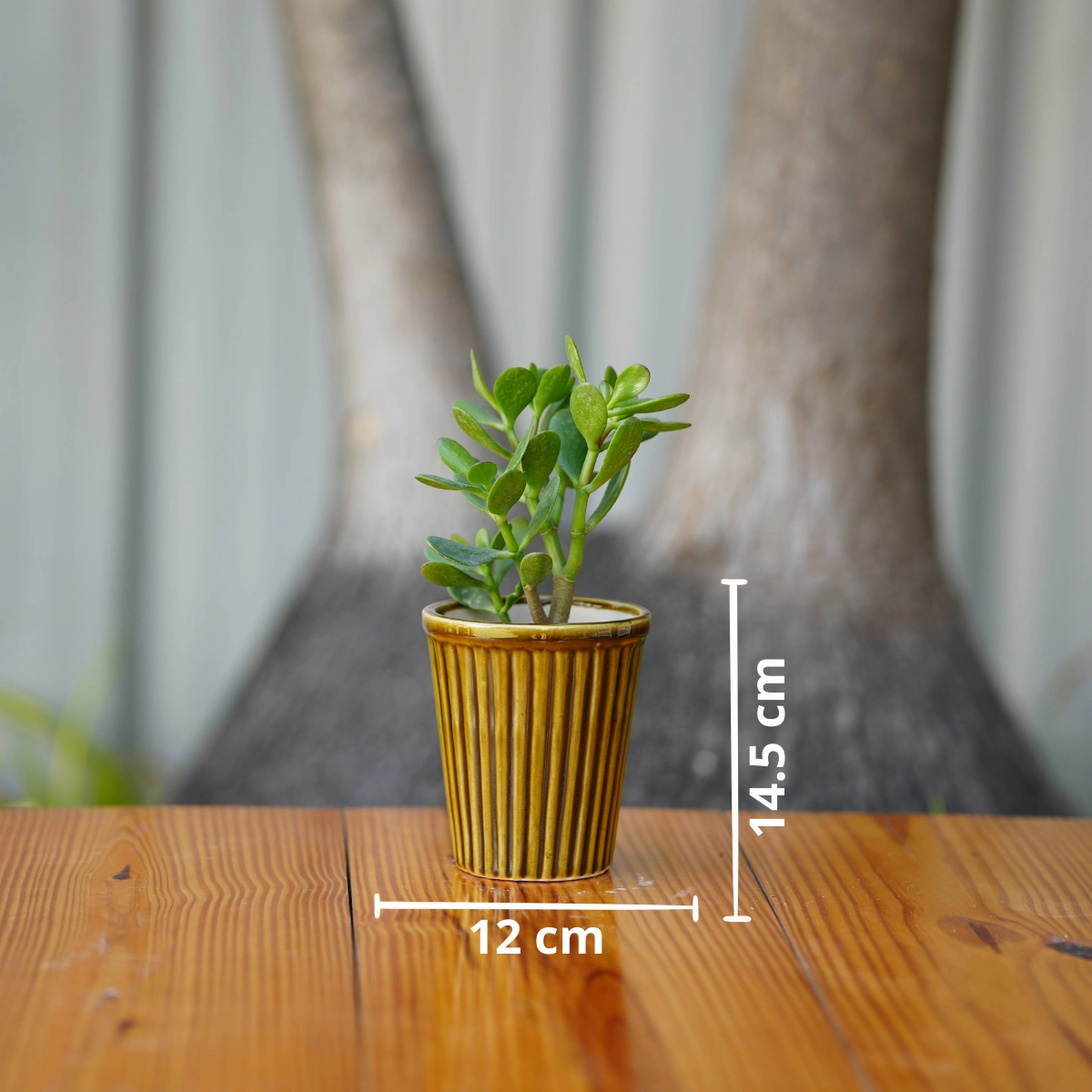 Vertical Ribbed Ceramic Planter- Mustard Yellow