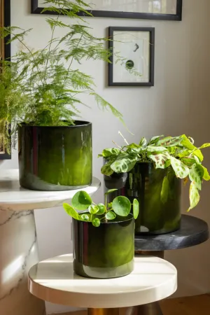 Vibrant Green Upcycled Steel Plant Pot - Available in 3 Sizes dried flowers  