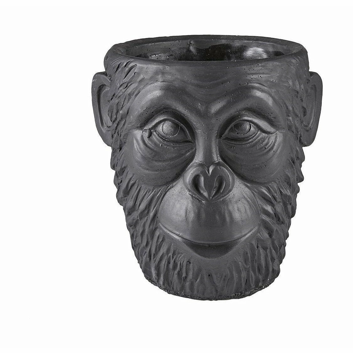 Villa Collection Flowerpot Gorilla ? 22 Cm, Black dried green plant  
