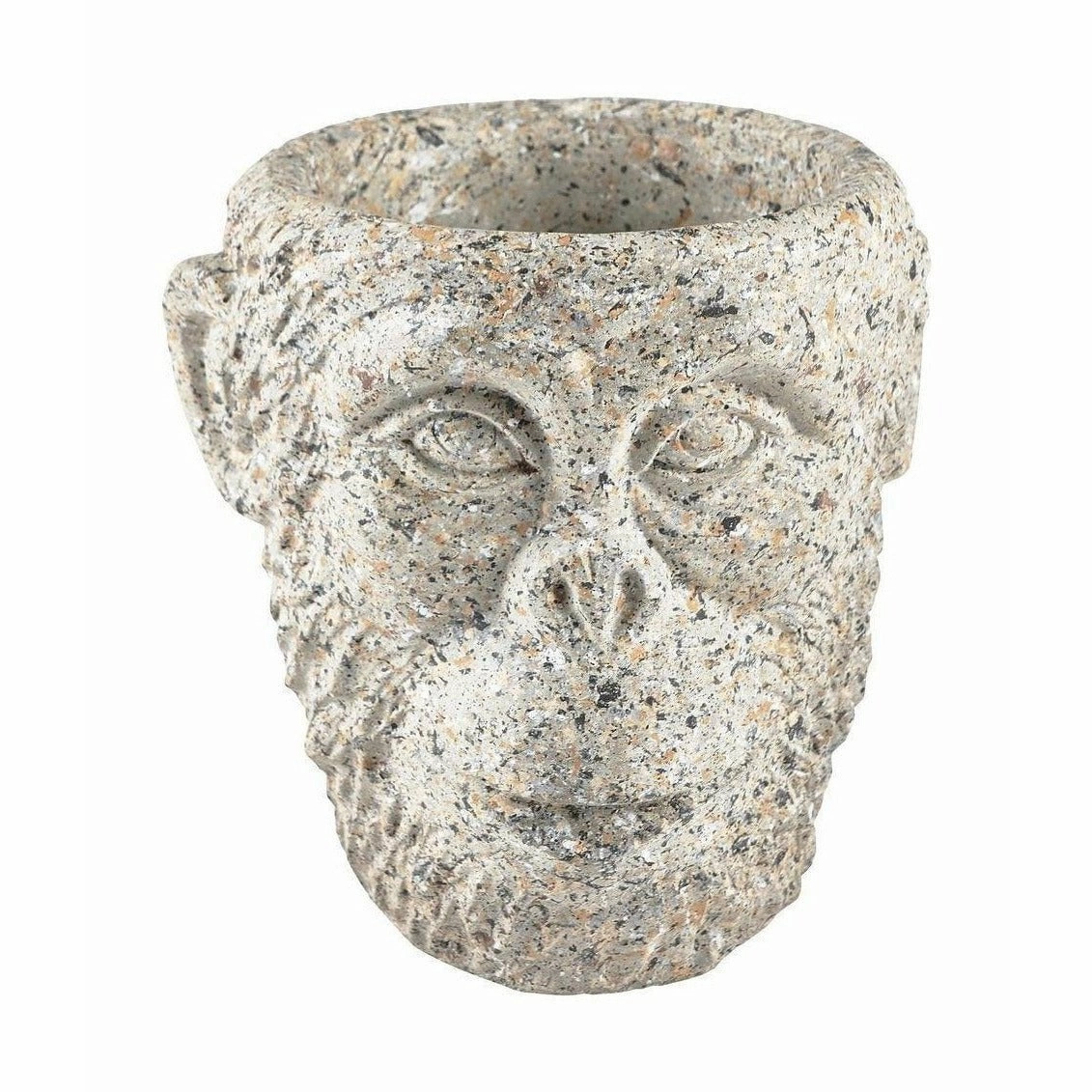 Villa Collection Flowerpot Grey, ? 19 Cm dried green plant  