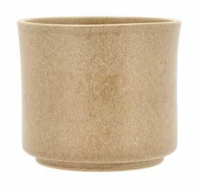 Villa Collection Leer Flowerpot ? 15 X 13 Cm, Cream dried green plant  