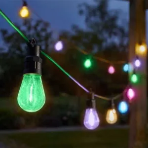 Vintage Festoon String Lights - Coloured dried flowers  