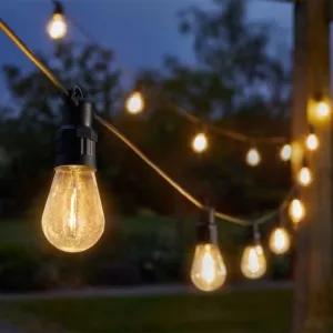 Vintage Festoon String Lights - Warm White dried flowers  